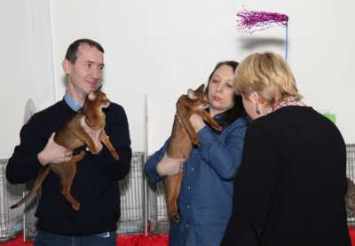 �������� ����� '������� ���-�����' 30 ������-1 ������� 2013., ������������ ��� 4323